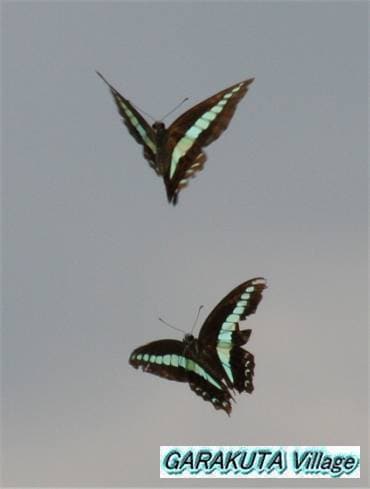 P20080901-IMG_2172-2