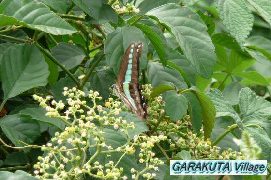 P20080912-P1060391-2